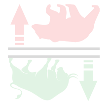 Background shape image